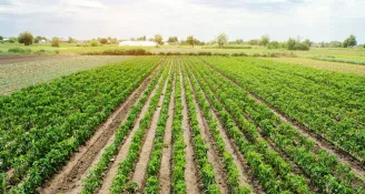 Test: Working on a Farm