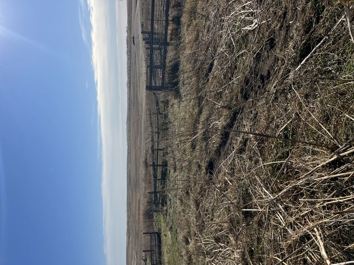 10 +/- Acre Farmstead - Goodrich, ND