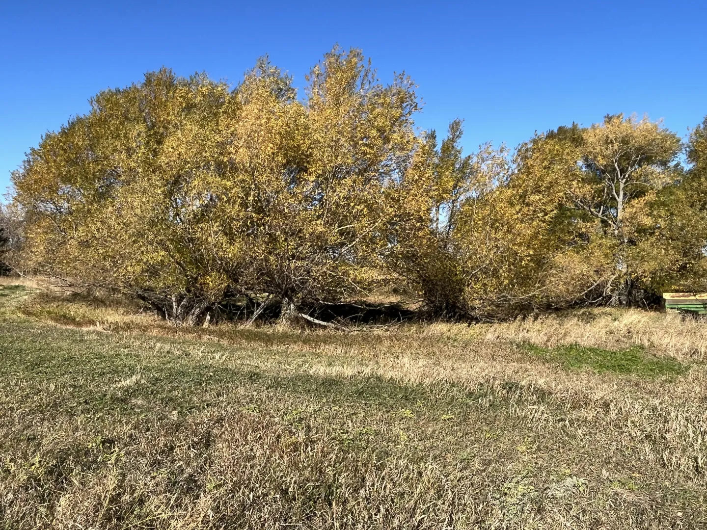 10 +/- Acre Farmstead - Goodrich, ND