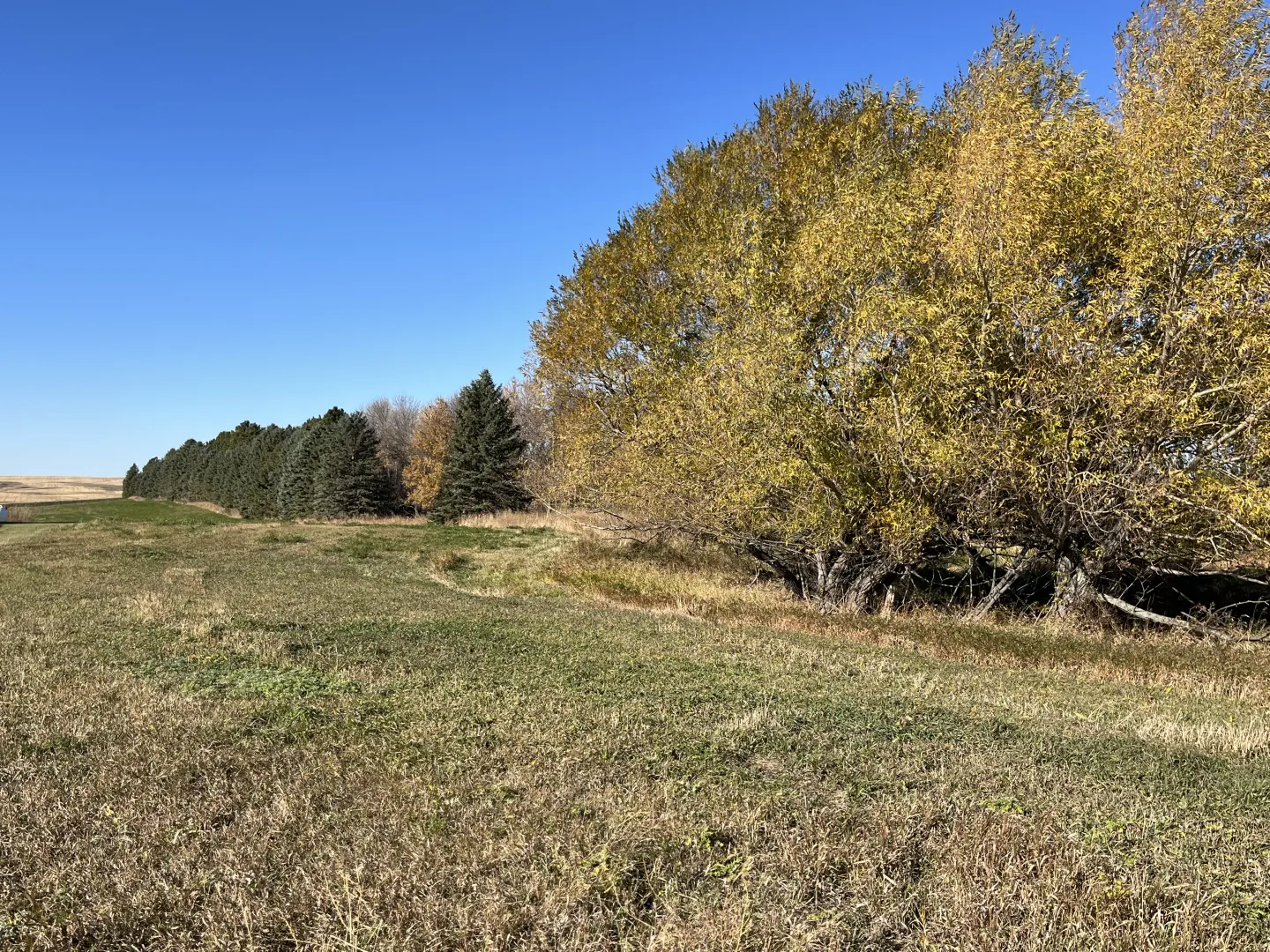 10 +/- Acre Farmstead - Goodrich, ND